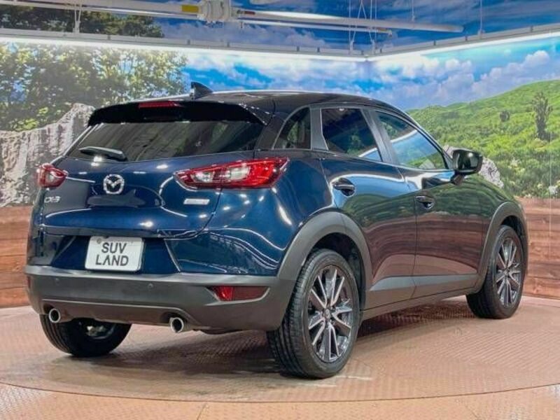 CX-3-17