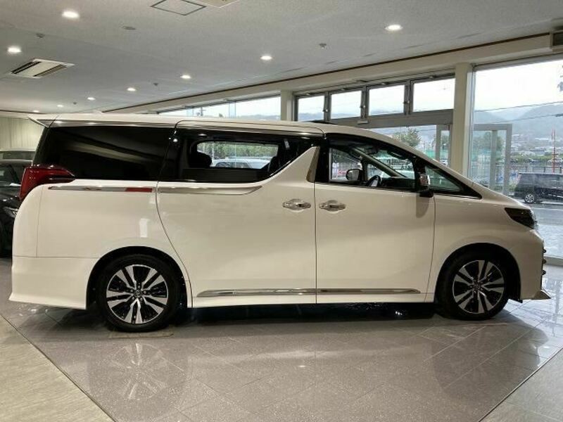 ALPHARD-13