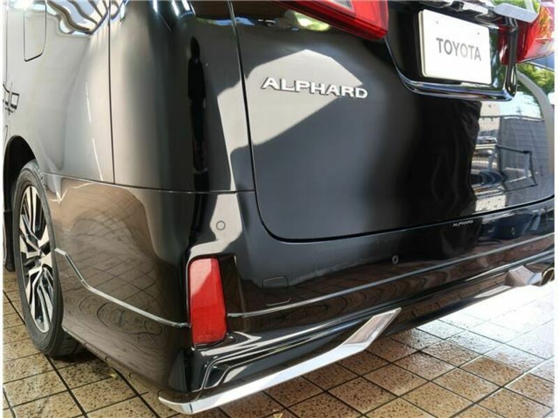 ALPHARD-15