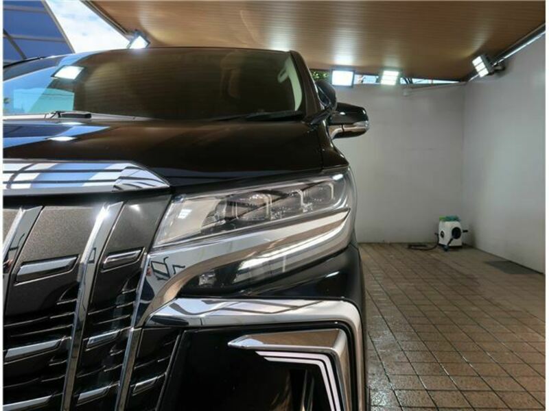 ALPHARD-17