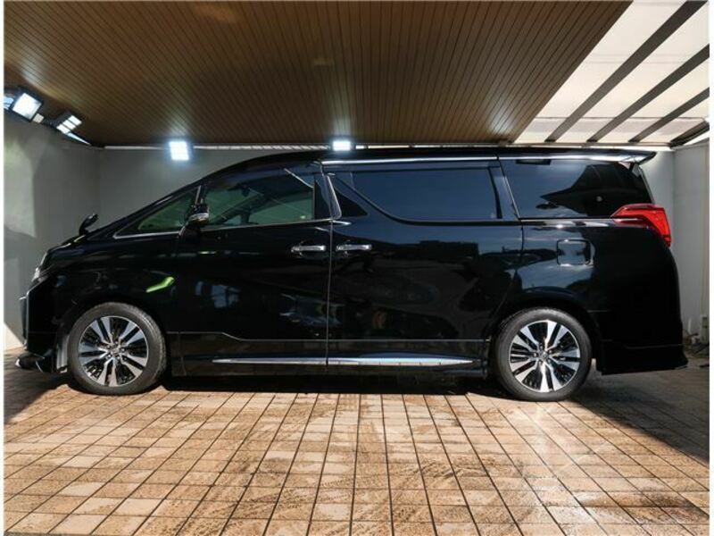 ALPHARD-25