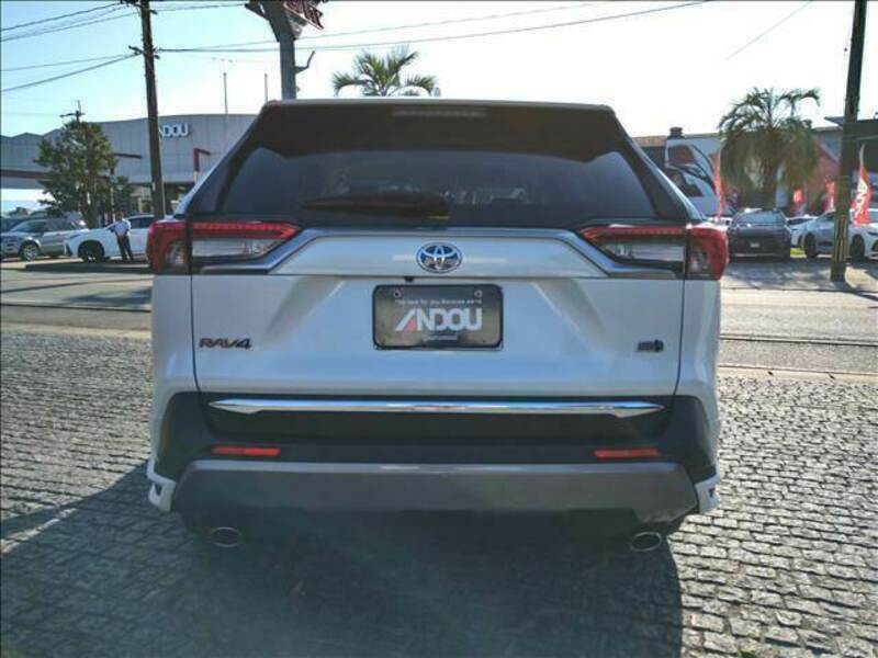 RAV4-8