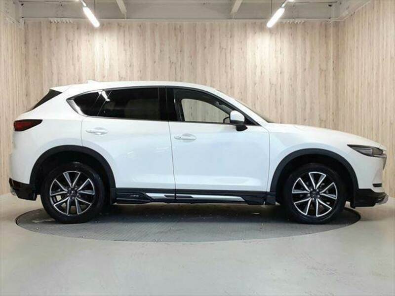 CX-5-18