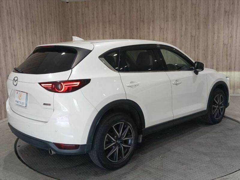 CX-5-19