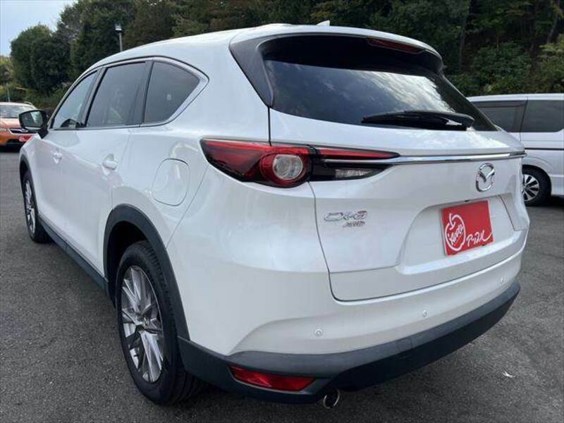 CX-8-19