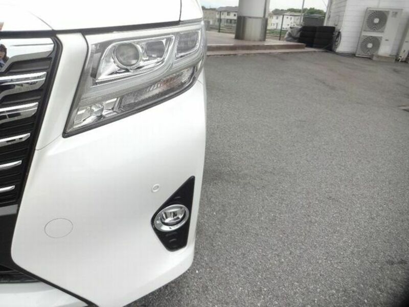 ALPHARD-28