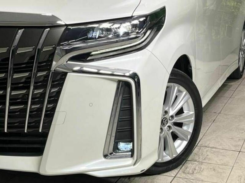 ALPHARD-13