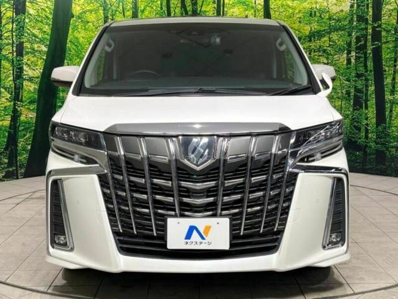 ALPHARD-15