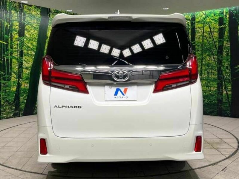 ALPHARD-16