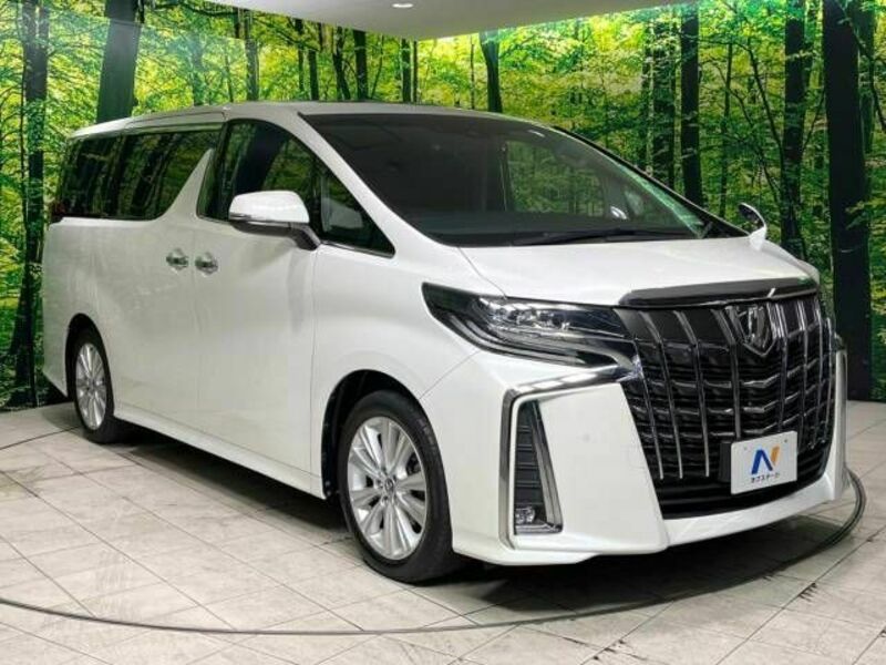 ALPHARD-17