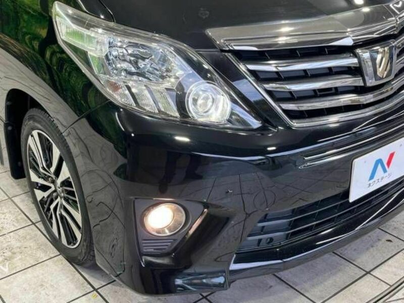 ALPHARD-13