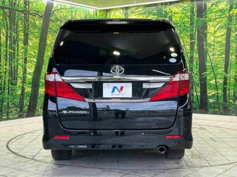 ALPHARD-16