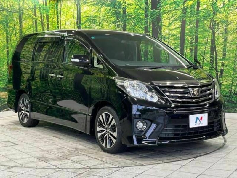 ALPHARD-17