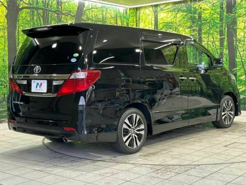 ALPHARD-18