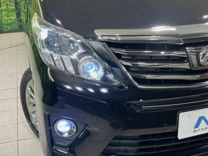 ALPHARD-12