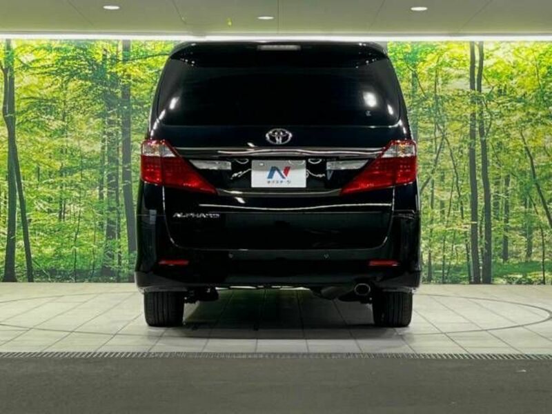 ALPHARD-15