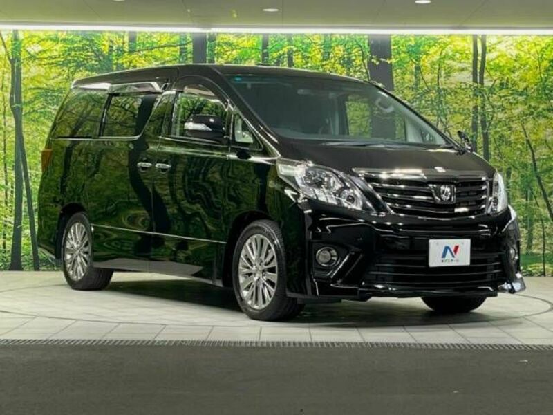 ALPHARD-16