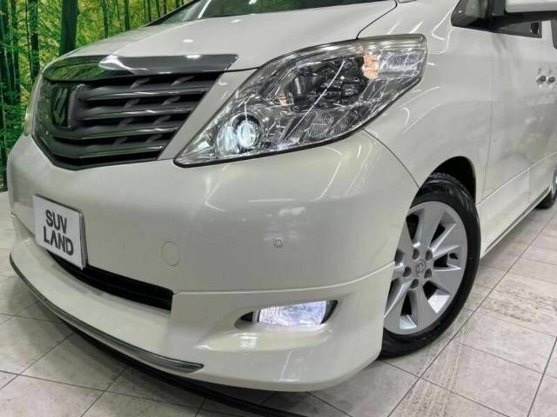 ALPHARD-12