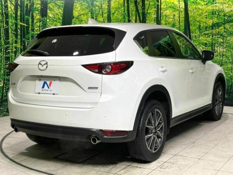 CX-5-17