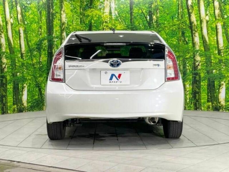 PRIUS-15