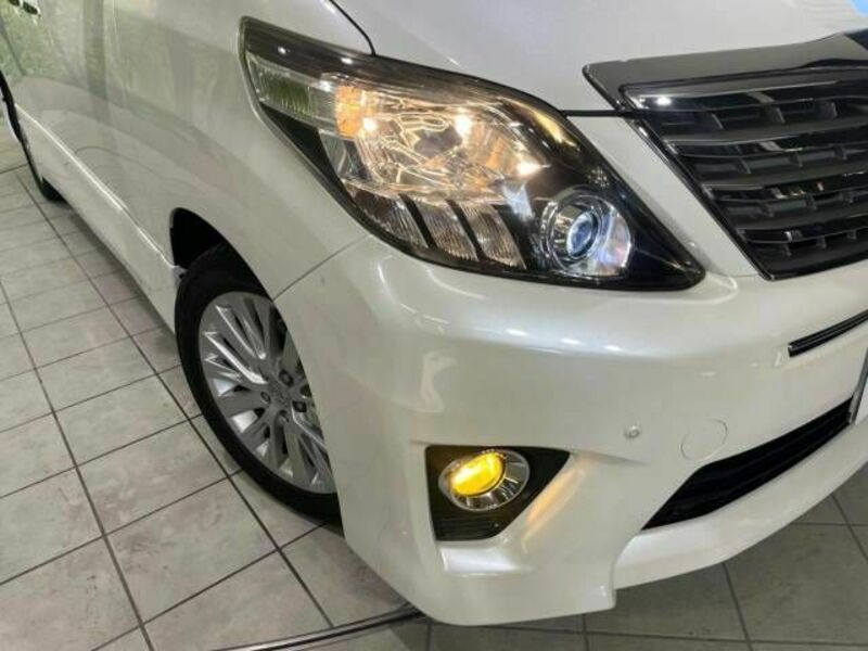 ALPHARD-13