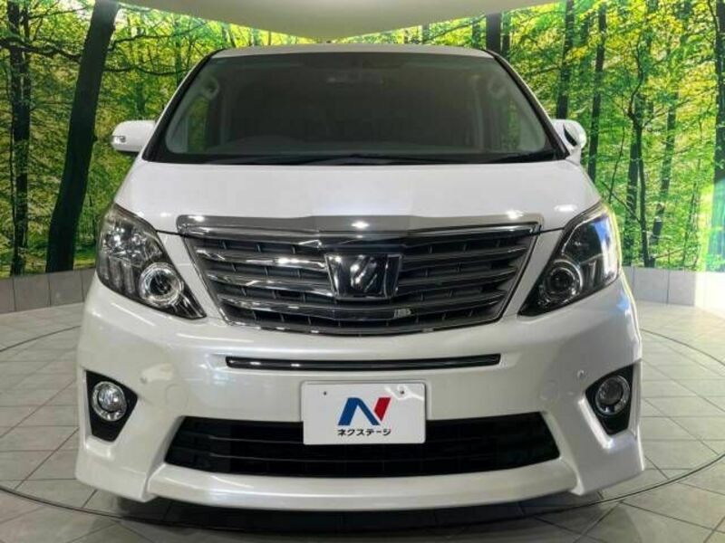 ALPHARD-15