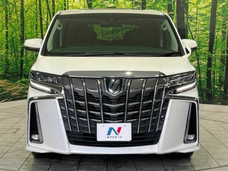 ALPHARD-15