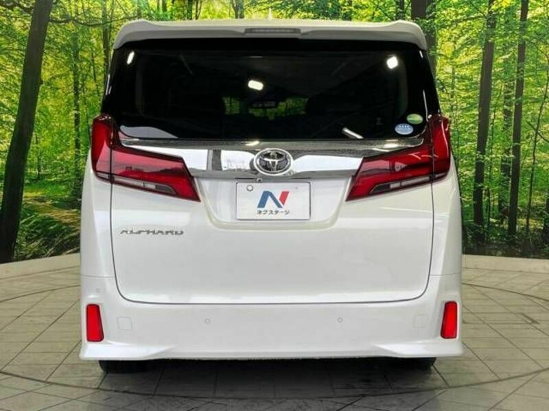 ALPHARD-16