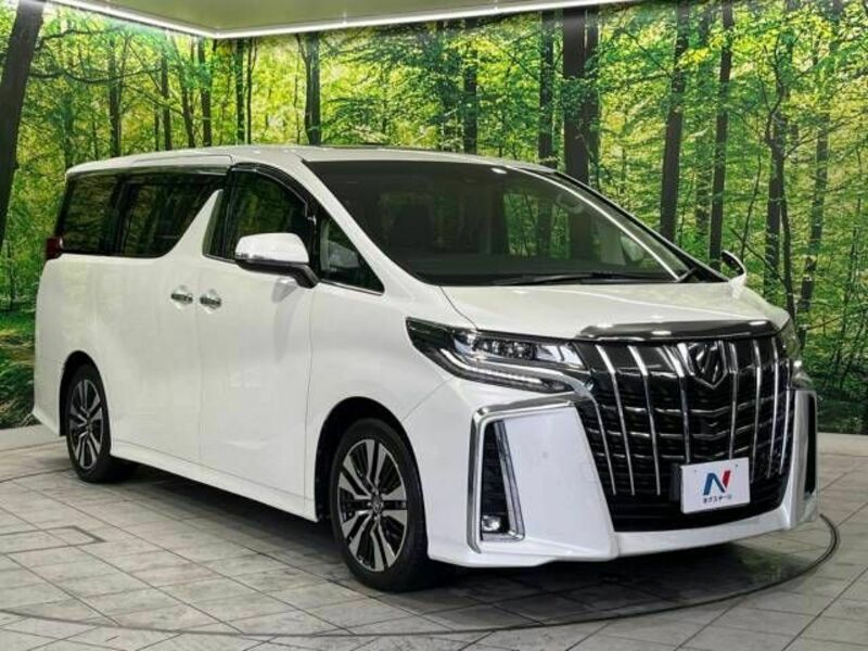 ALPHARD-17