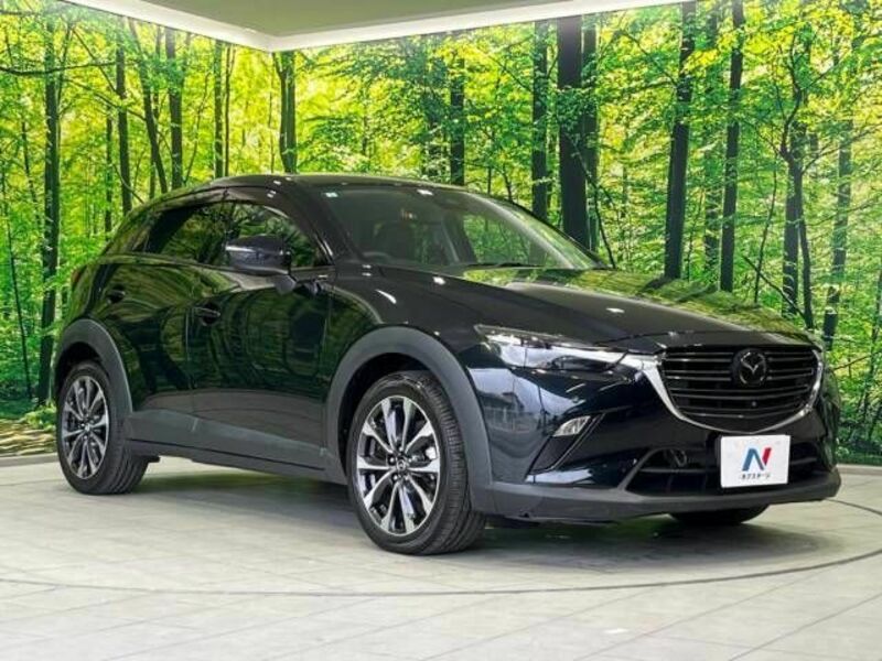 CX-3-16