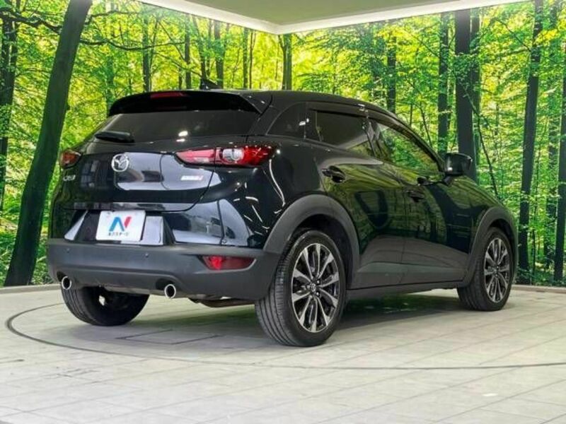 CX-3-17