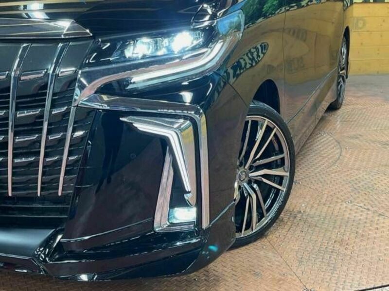 ALPHARD-16