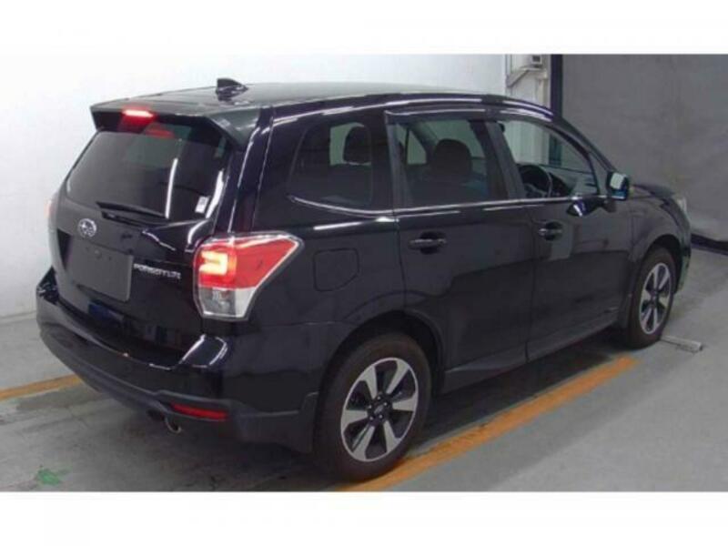 FORESTER-1