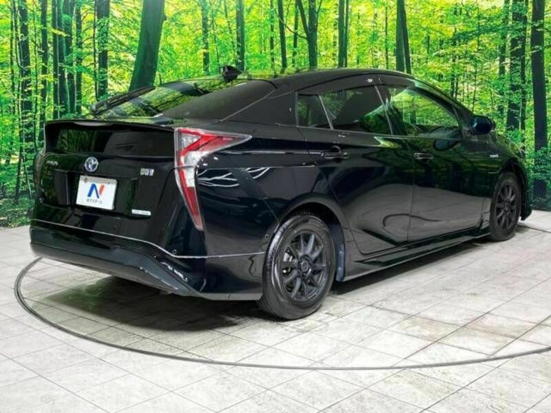 PRIUS-17