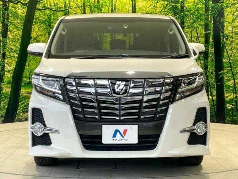 ALPHARD-15