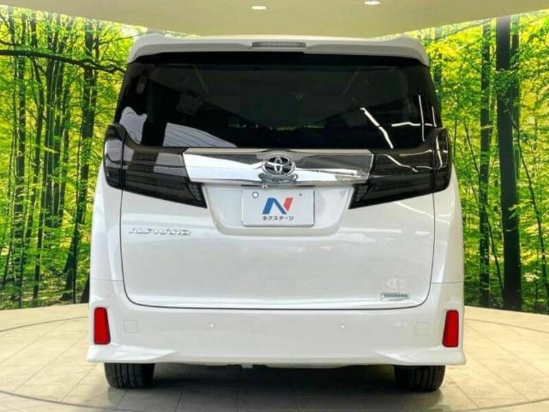 ALPHARD-16