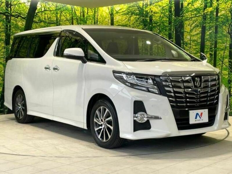 ALPHARD-17