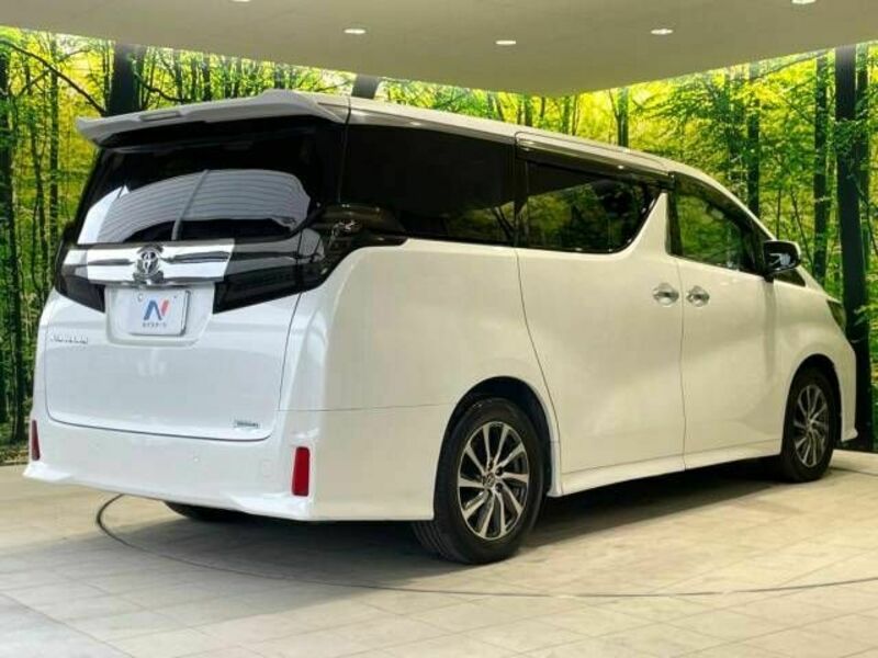 ALPHARD-18