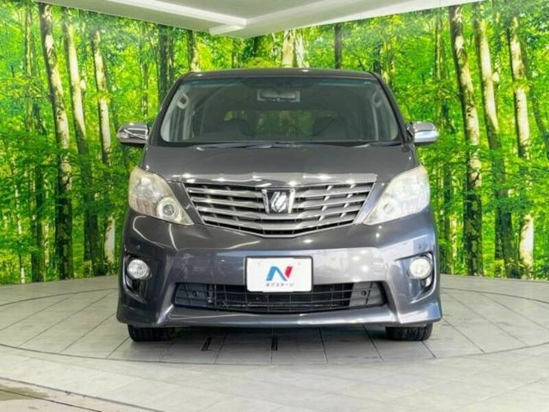 ALPHARD-15