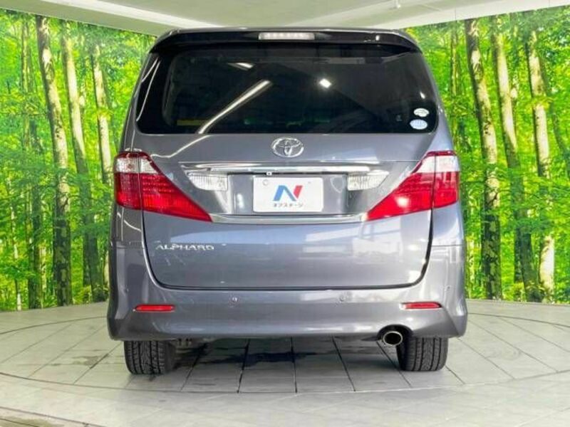 ALPHARD-16