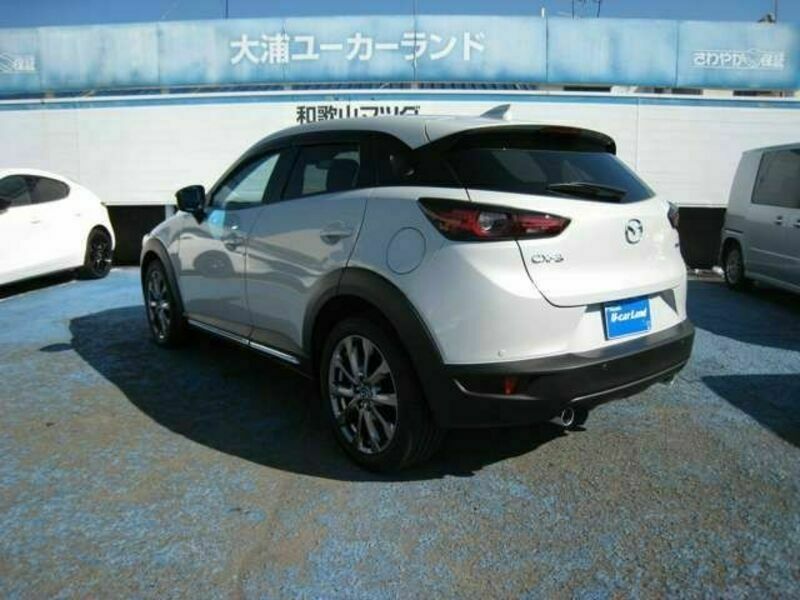 CX-3-2