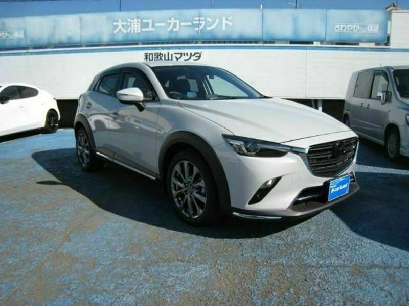 CX-3-3