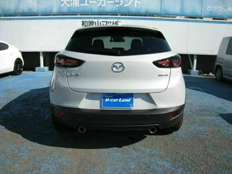 CX-3-6