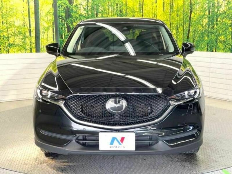 CX-5-14