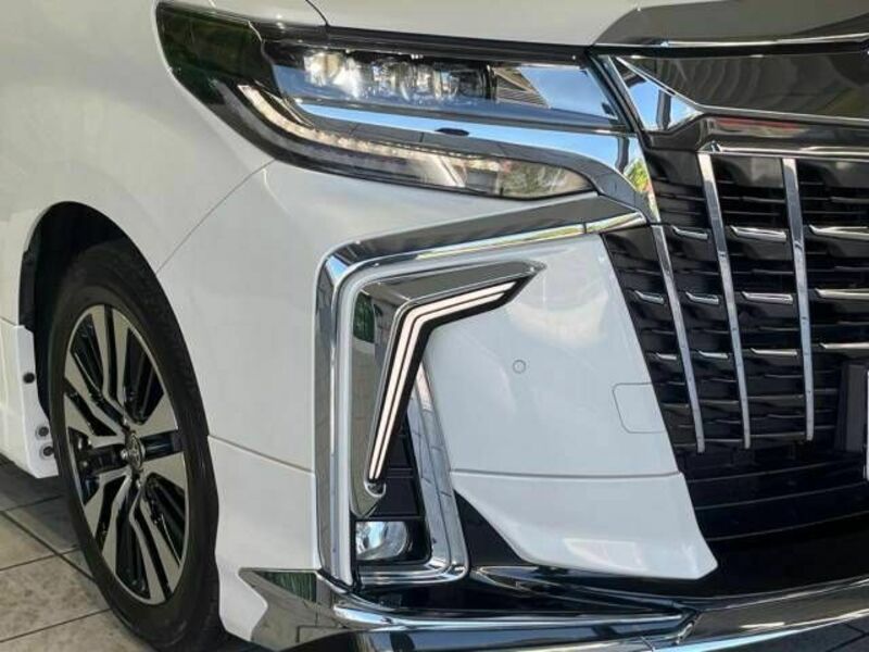 ALPHARD-13