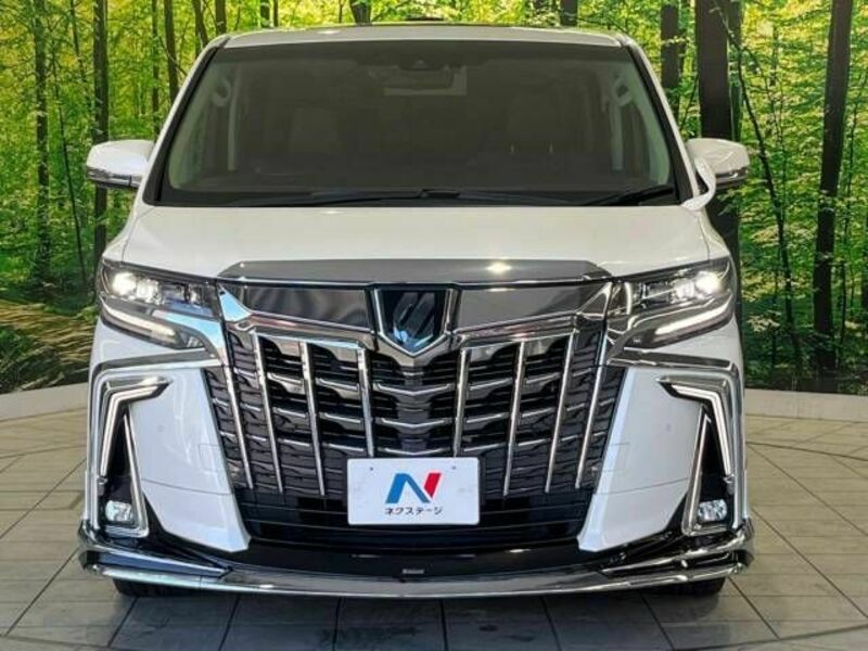 ALPHARD-15