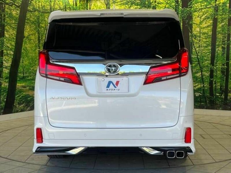 ALPHARD-16