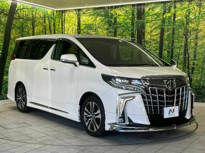 ALPHARD-17