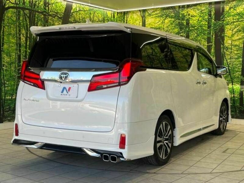 ALPHARD-18