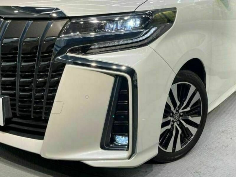 ALPHARD-13